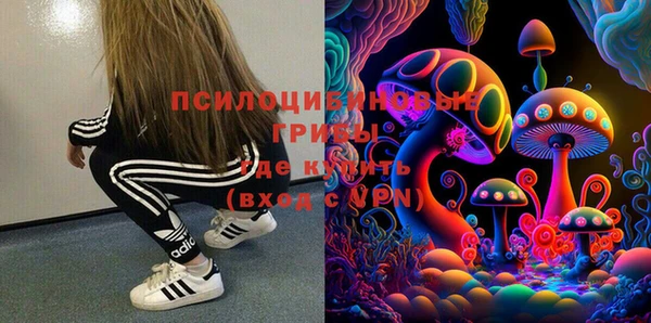 стафф Алзамай