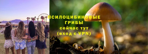 ECSTASY Алексеевка