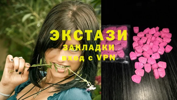 мет Алексин