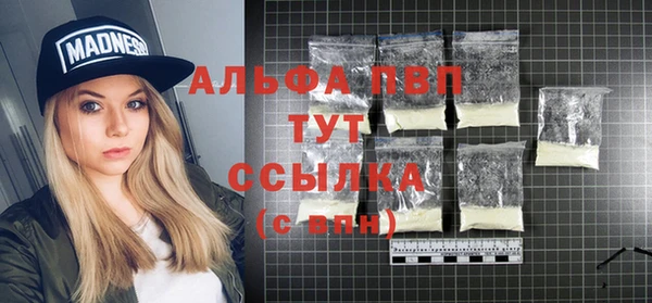 стафф Алзамай